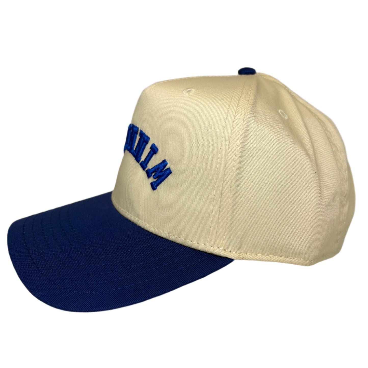 Winnipeg Upside Down Baseball Cap - Royal/ Natural / One Size - Hats