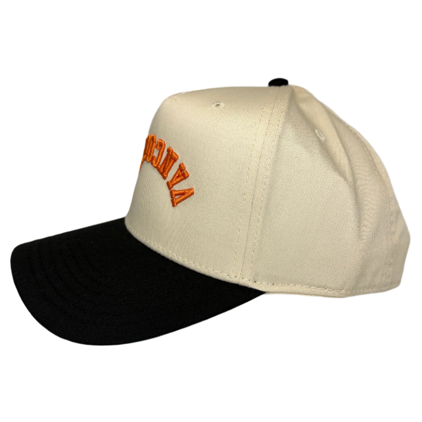 Vancouver Upside Down Baseball Cap - Black/Natural / One Size - Hats