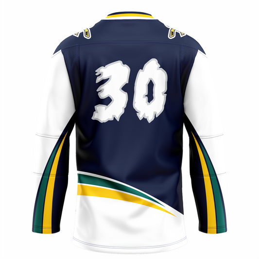 Quebec Rafales hockey jersey. Purple. Back. White sleeves with green, yellow, and purple bands going up bottom half of sleeves to underarm. Green and gold triangular bands above waist. #30 large on back white shaped like snowflakes. Royal Retros.