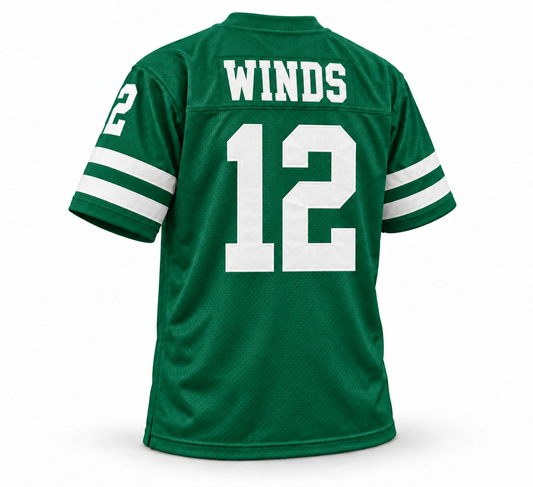 Chicago Winds WFL jersey, Kelly green with white WINDS name and number 12, back view