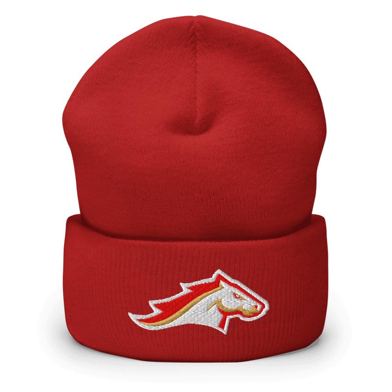 Birmingham Stallions Beanie - One Size / Red - Hats