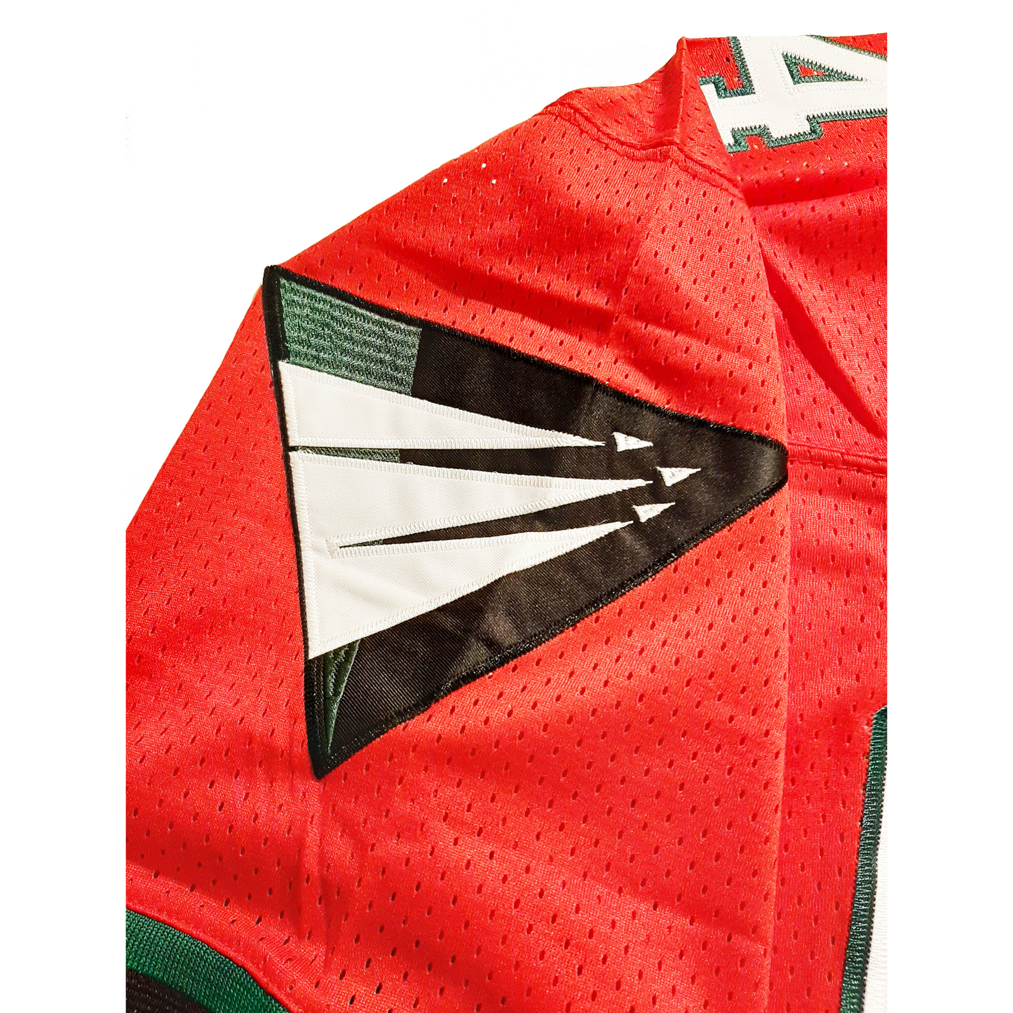 Raleigh Durham Skyhawks Jersey close-up logo on red jersey Royal Retros