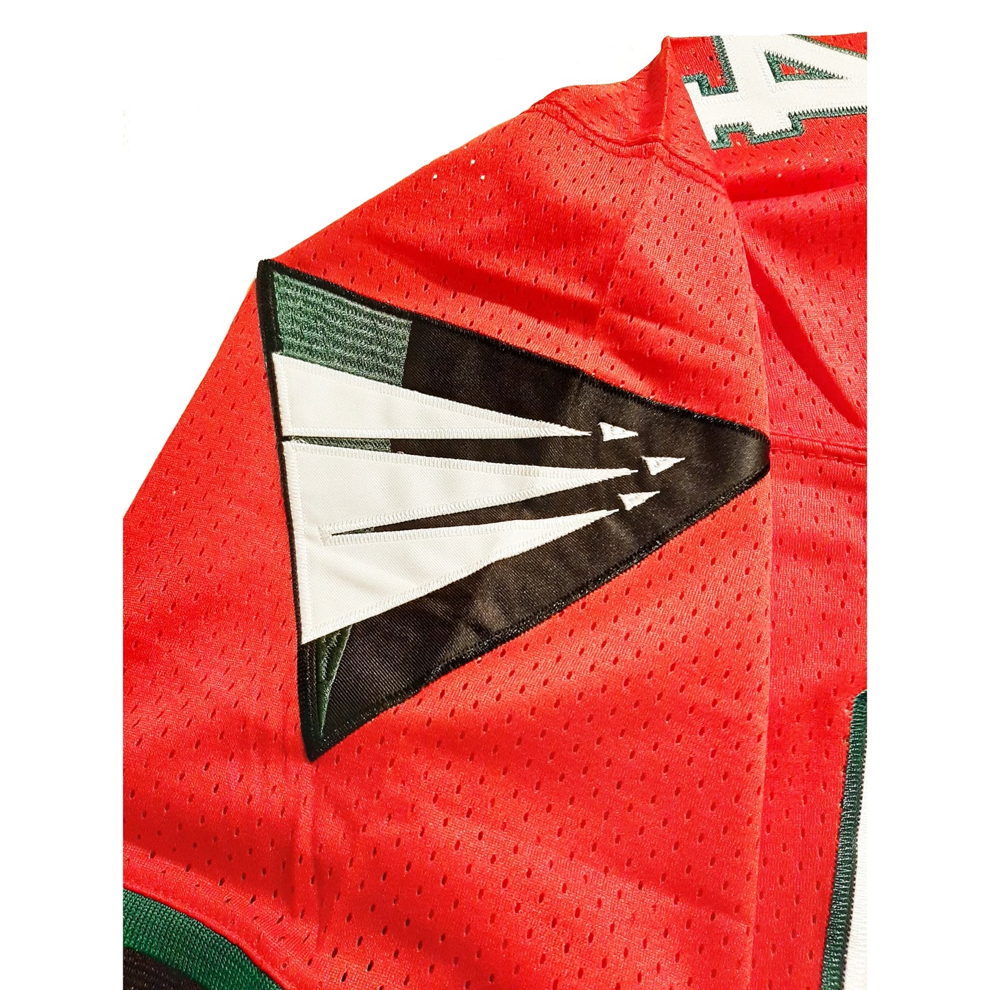 Raleigh Durham Skyhawks Jersey close-up logo on red jersey Royal Retros