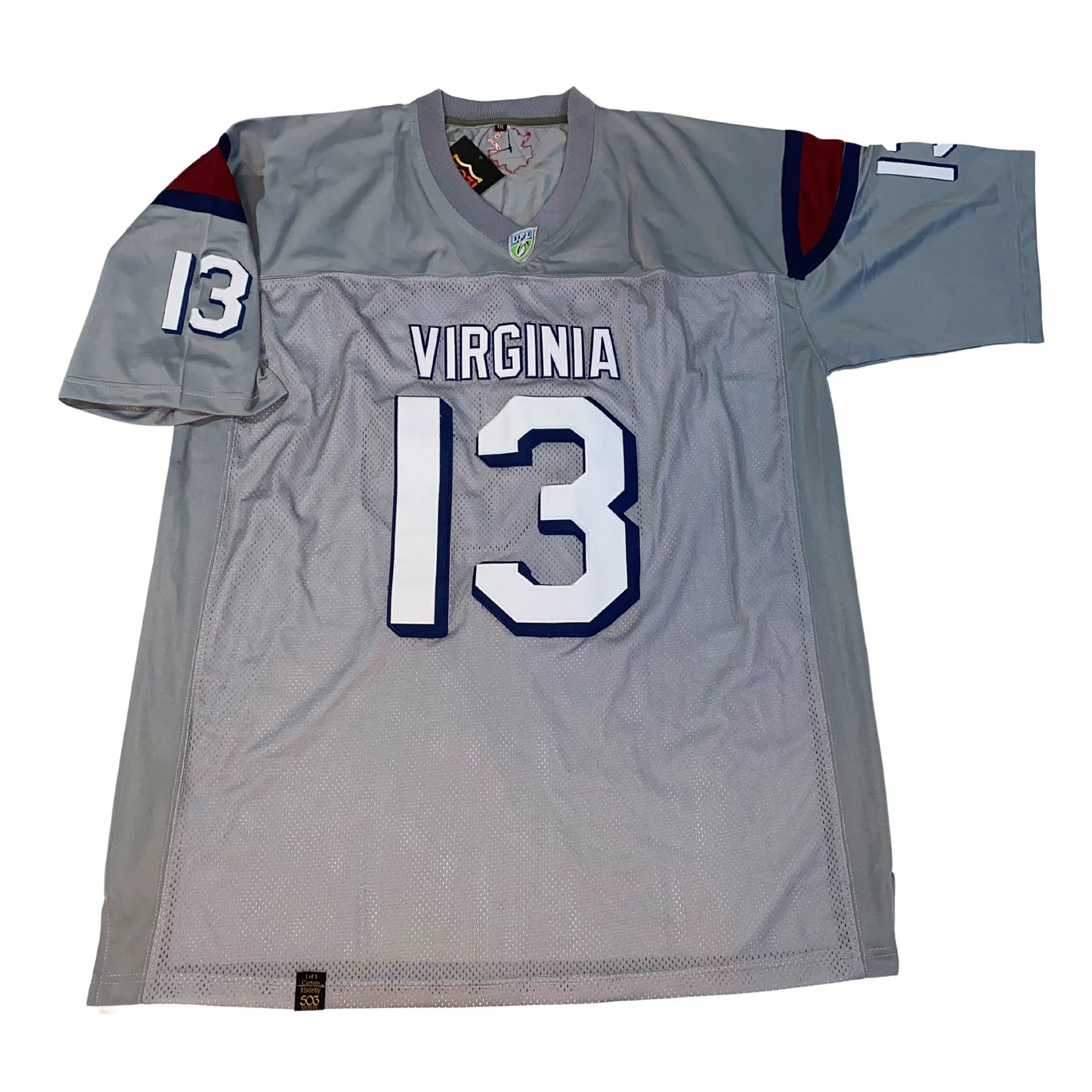 Gray Virginia Destroyers Jersey perfect for fans of Virginia Beach sportsplex and vintage hockey
