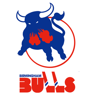 Birmingham Bulls