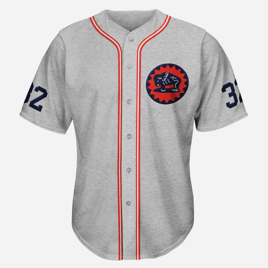 Houston Buffaloes Jersey - Small / Gray - Jerseys