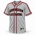 1959 Birmingham Black Barons NLB Jersey - Gray
