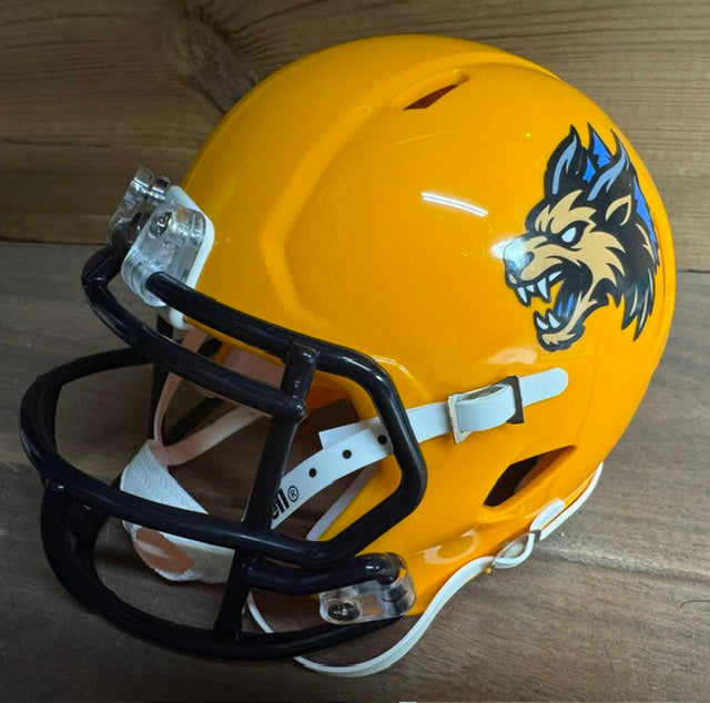 Minnesota Monsters Mini Helmet