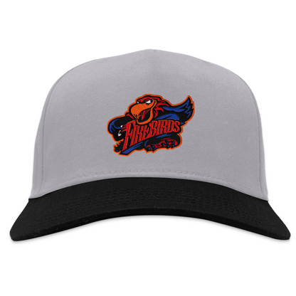 Albany Firebirds Snapback Hat