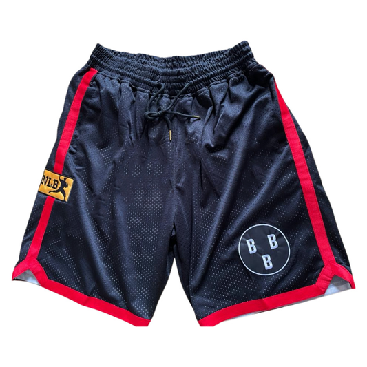 Birmingham Black Barons Shorts - Small / Black - Shorts