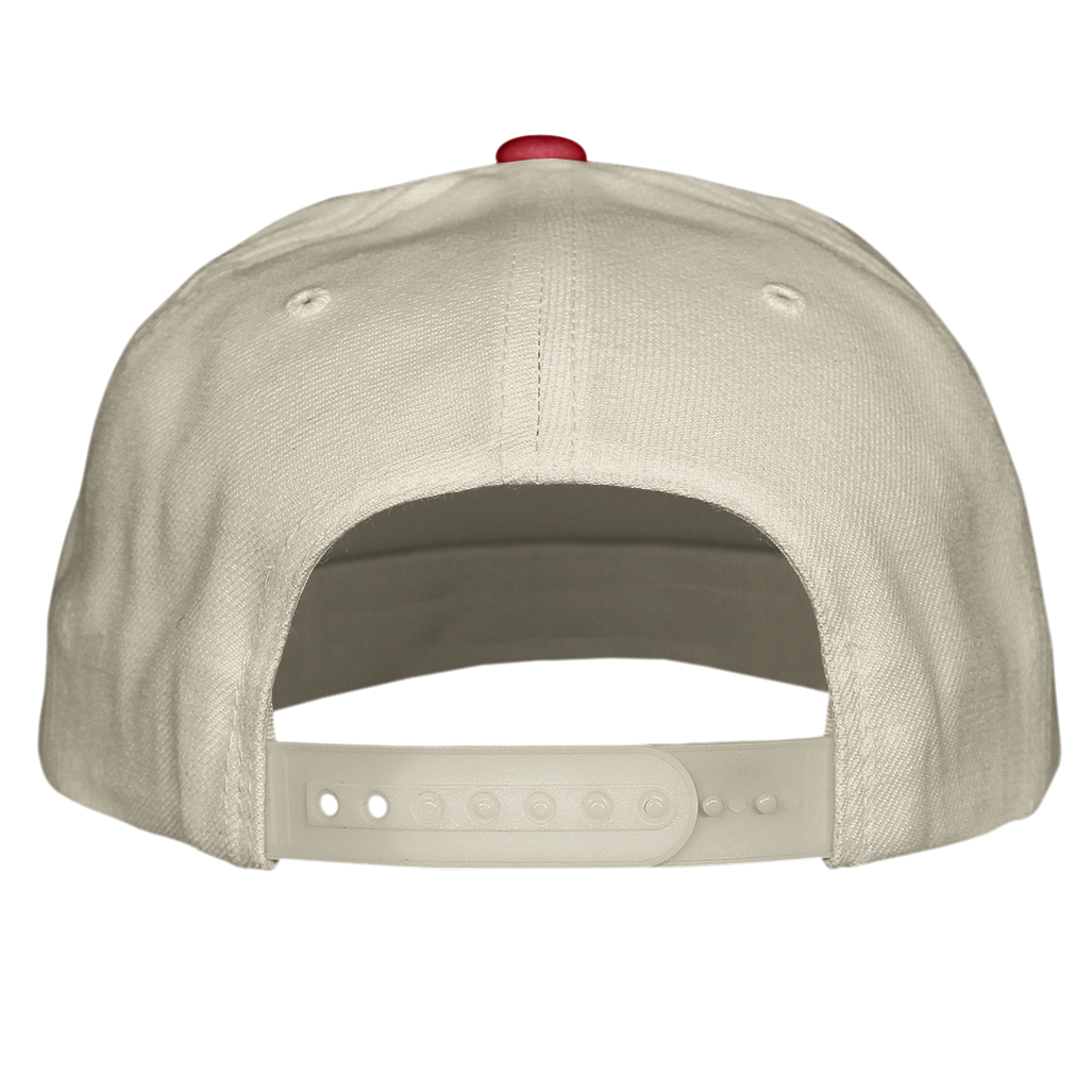 Snapback Hat back - Hats