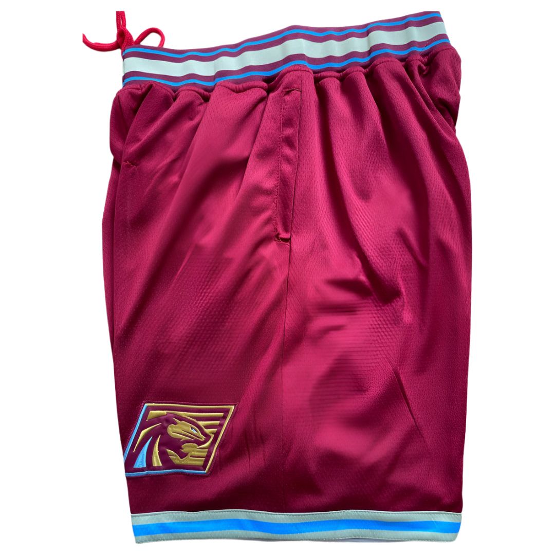 Michigan Panthers Shorts - Shorts
