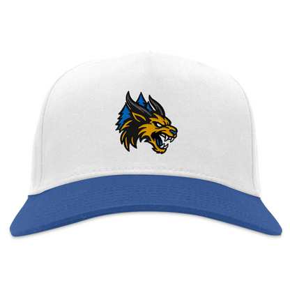 Minnesota Monsters Snapback Hat