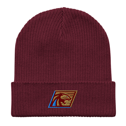 Michigan Panthers Beanie - One Size / Maroon - Hats