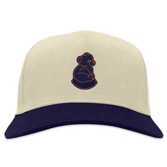 San Francisco Sea Lions Snapback Hat