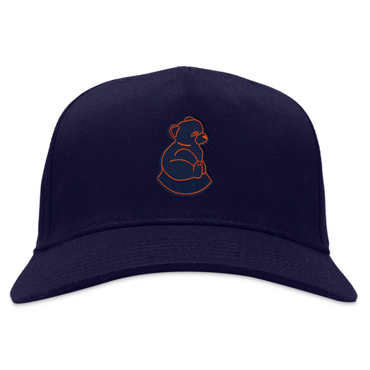 San Francisco Sea Lions Snapback Hat