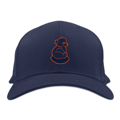 San Francisco Sea Lions Flex Hat