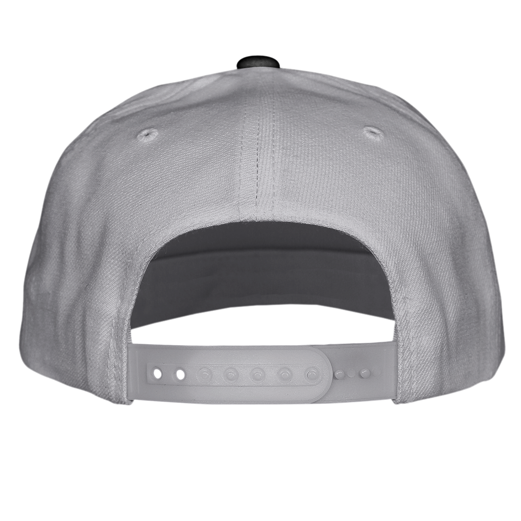 Albany Firebirds Snapback Hat