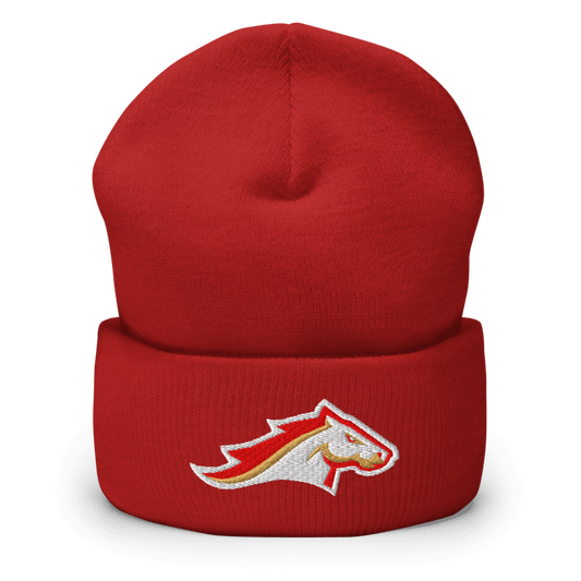 Birmingham Stallions Beanie - One Size / Red - Hats