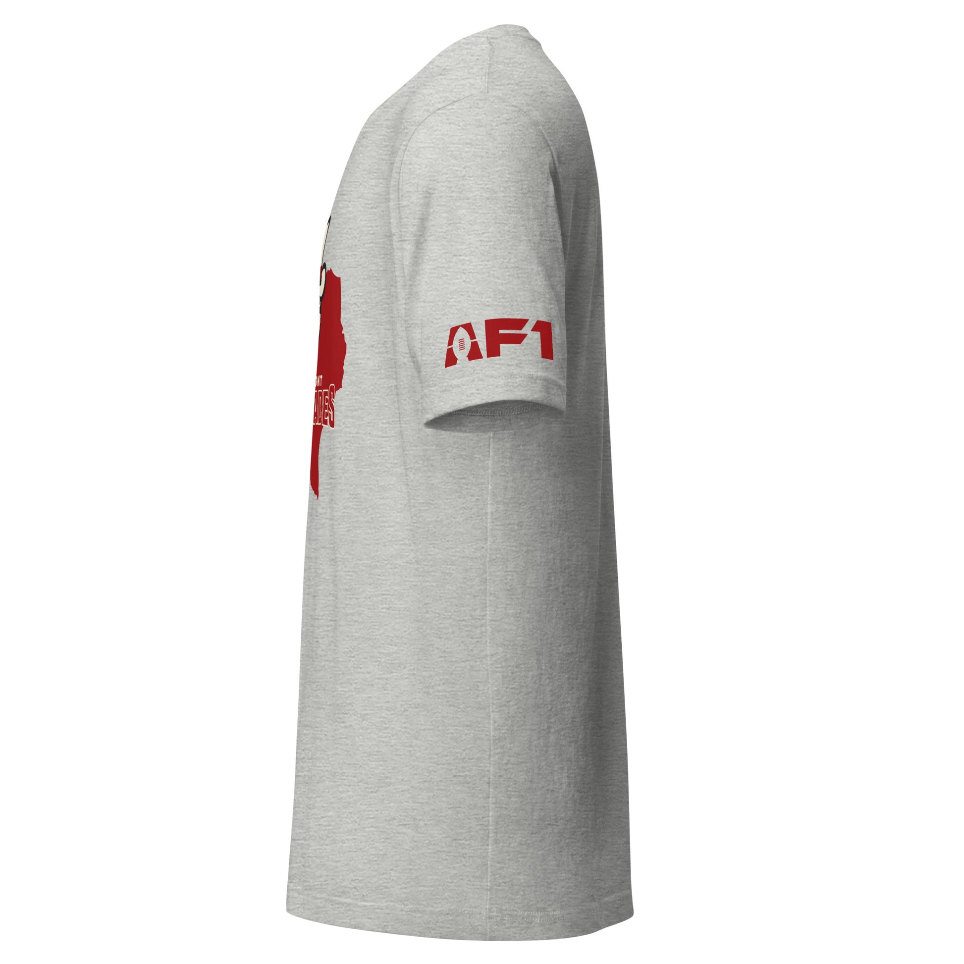 Beaumont Renegades AF1 T-shirt. Grey. Left sleeve with AF1 logo. Royal Retros.