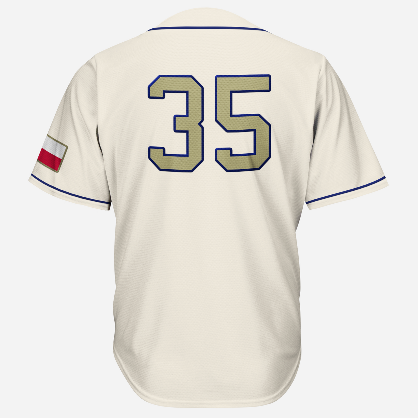 Houston Colt 45's Championship Jersey back Royal Retros