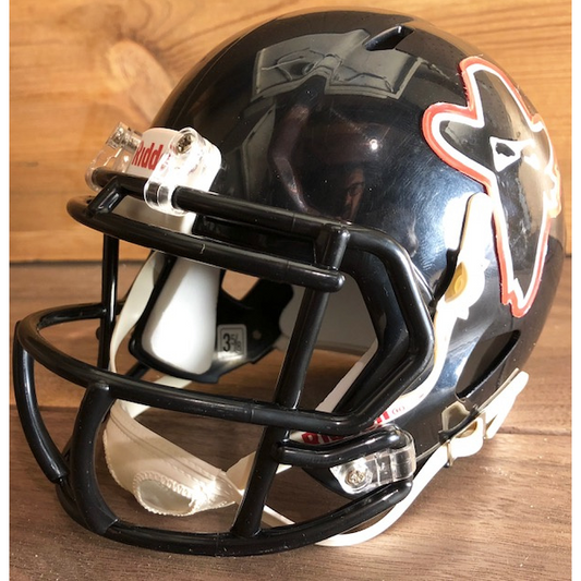 Arizona Outlaws Mini Helmet (2076961538117)