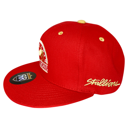 Birmingham Stallions USFL Snapback Hat