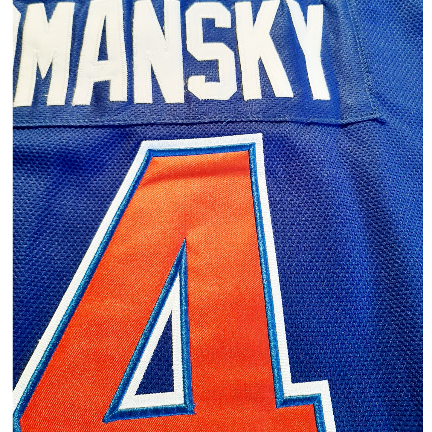 Birmingham Bulls Jersey close-up back blue jersey Royal Retros