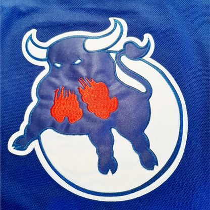 Birmingham Bulls Jersey